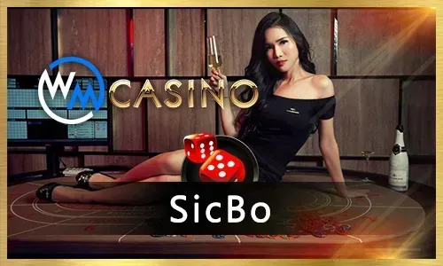 Beginner's Guide to Online Casino